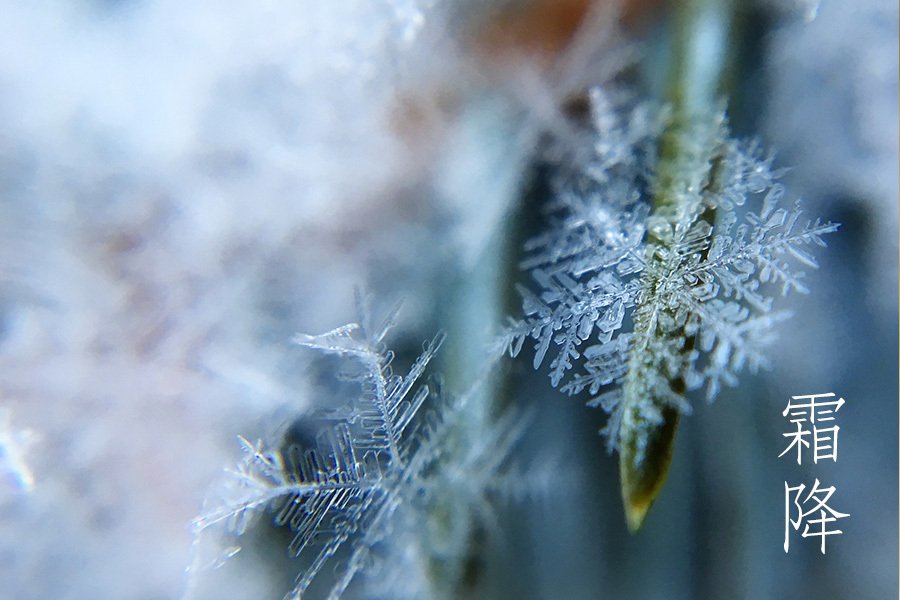 二十四節氣——霜降（Pixabay）